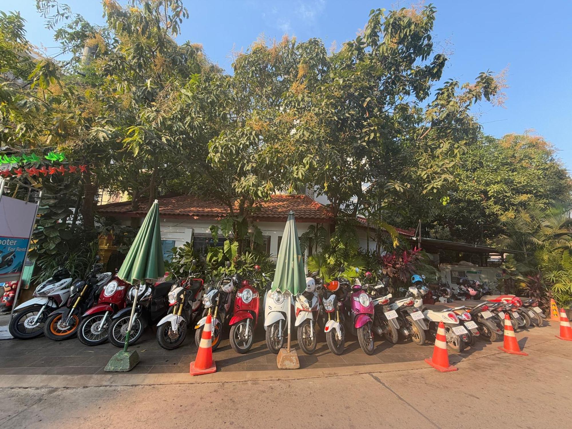 Asanak D'Angkor Boutique Hotel Siem Reap Exterior foto